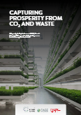New CASE Report  – Capturing Prosperity from CO2 and Waste